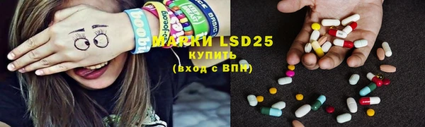 МДПВ Ельня