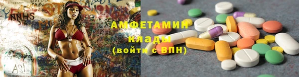 МДПВ Ельня