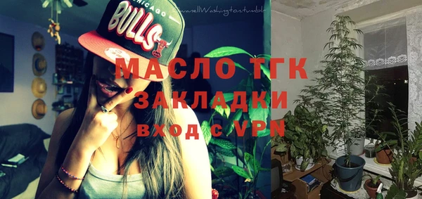 МДПВ Ельня