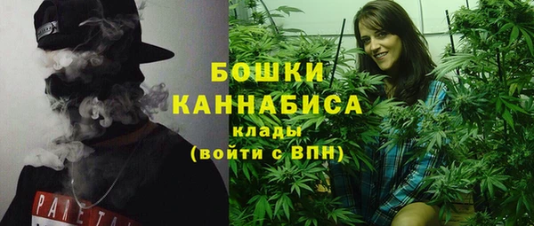 дурь Заводоуковск