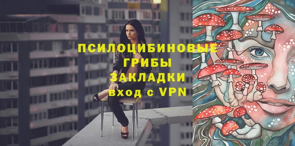 МДПВ Ельня