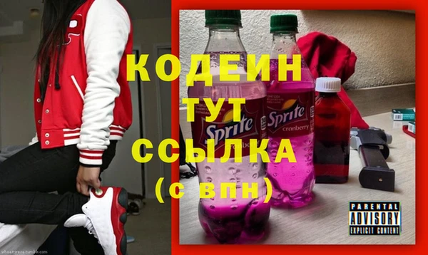 МДПВ Ельня