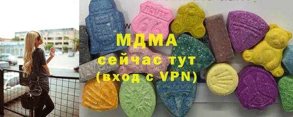 МДПВ Ельня